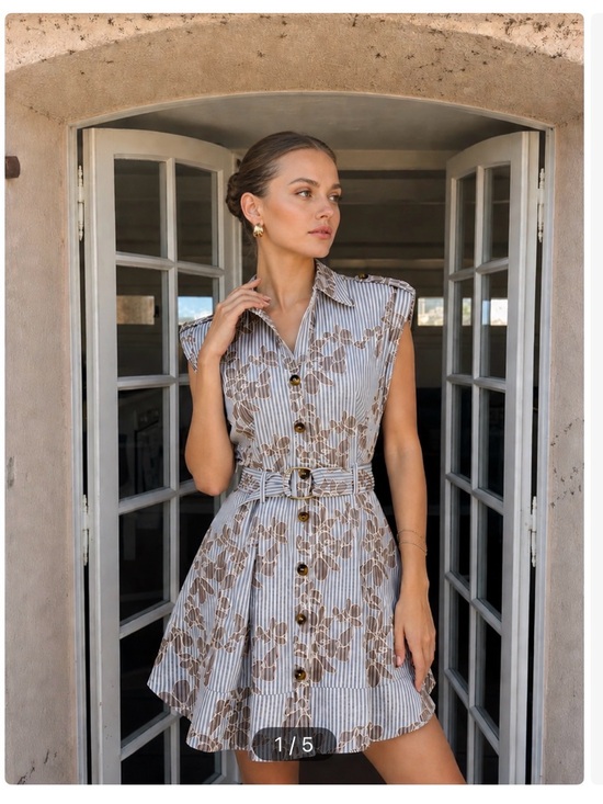 Commense Dresses & Skirts - Commense Beige Floral Striped Mini Dress